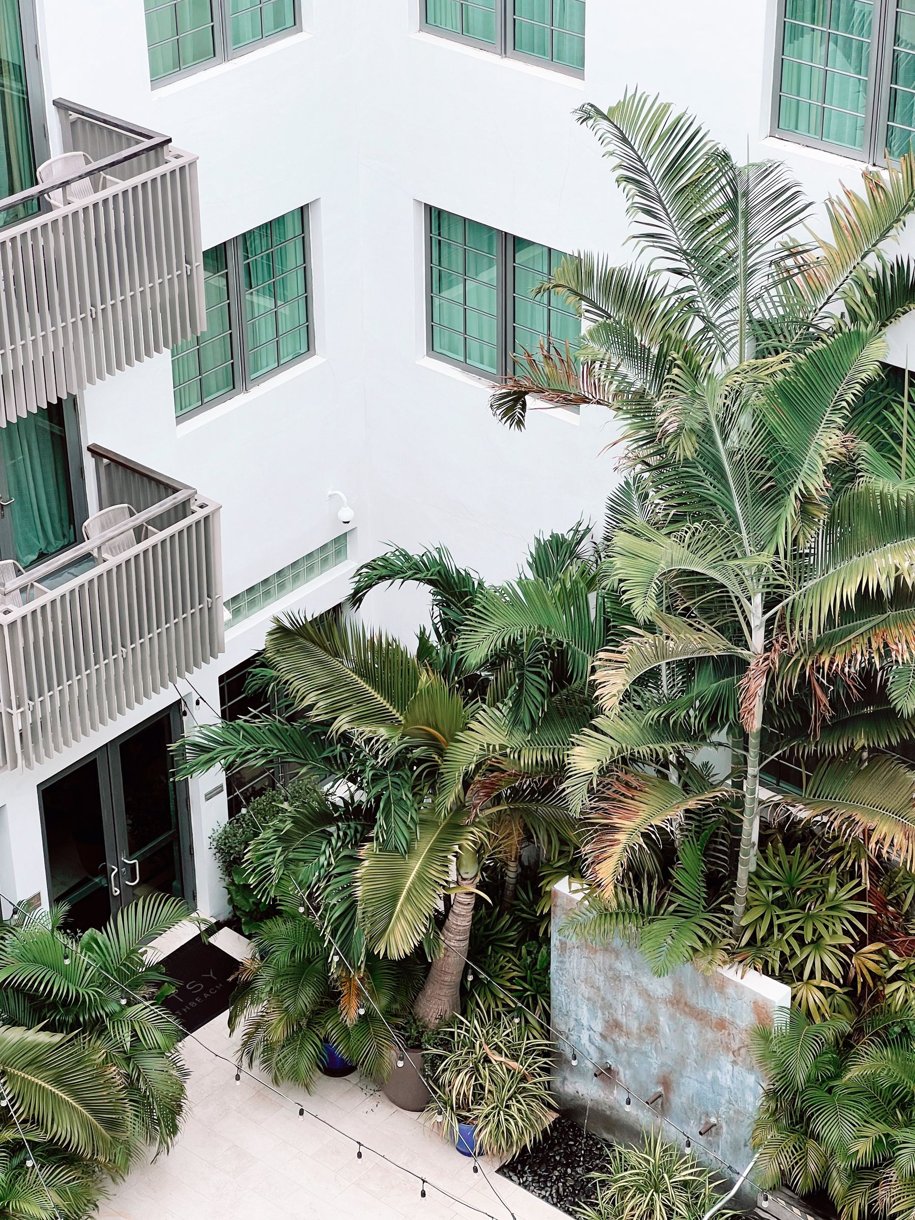 A bright modern courtyard with palms and shaded walkways